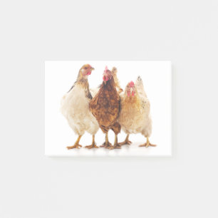 Drie kippen post-it® notes