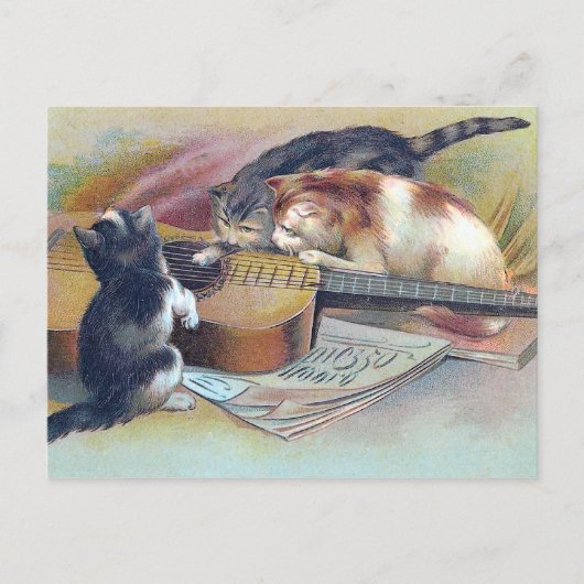 Drie Kittens en een Guitar  Illustratie Briefkaart (Voorkant)
