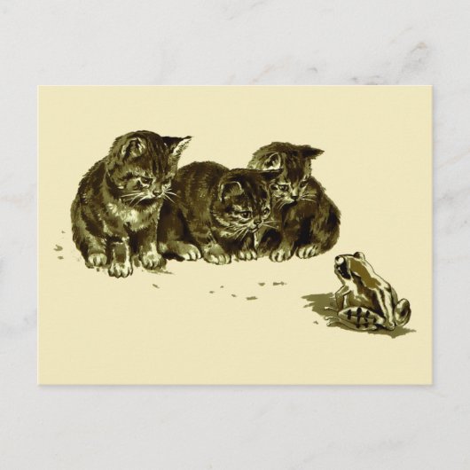 Drie Kittens en een kikker Briefkaart (Voorkant)