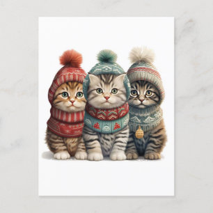 Drie Kittens in truien Briefkaart