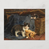 Drie Kittens | Julius Adam de Jongere Briefkaart (Voorkant)