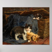 Drie Kittens | Julius Adam de Jongere Poster (Voorkant)