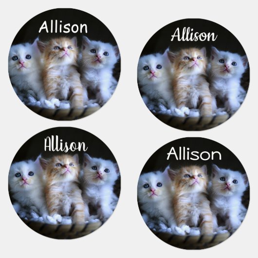 Drie Kittens Labels (Groep)