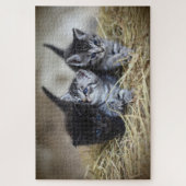drie kittens puzzel (Verticaal)