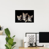 Drie Kittens van Junglewalk.com Poster (Thuiskantoor)
