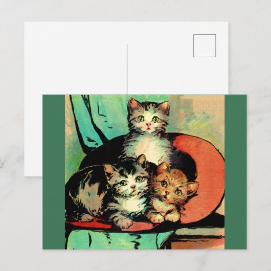 drie kleine kittens briefkaart (Voorkant / Achterkant)
