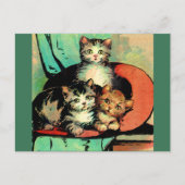 drie kleine kittens briefkaart (Voorkant)
