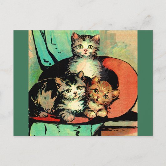 drie kleine kittens briefkaart (Voorkant)