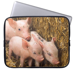 Drie kleine varkens laptop sleeve