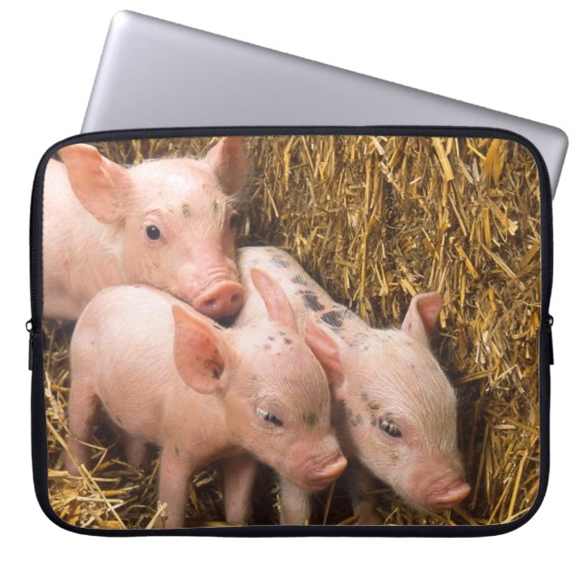 Drie kleine varkens laptop sleeve (Voorkant)