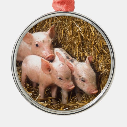 Drie kleine varkens metalen ornament (Voorkant)