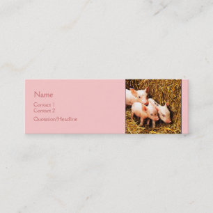 Drie kleine varkens mini visitekaartje