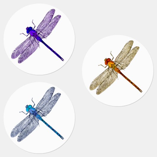 Drie kleuren Dragonfly Stickers (Groep)