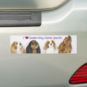 Drie kleuren van Cavalier King Charles Spaniels Bumpersticker (Op auto)