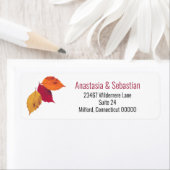 Drie kleurrijke ventilatorbladeren maken etiket (Insitu)