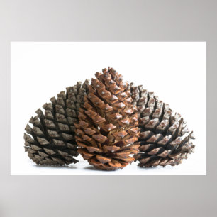 Drie knelpunten poster