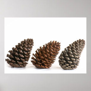 Drie knelpunten poster