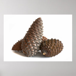 Drie knelpunten poster