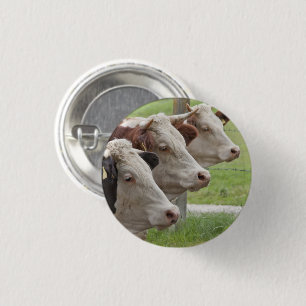 Drie Koeien in een Button van de Rij
