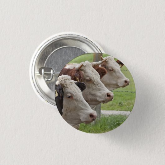 Drie Koeien in een Button van de Rij (Voorkant /achterkant)