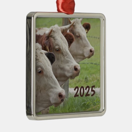 Drie Koeien op een rij Ornament (Rechts)