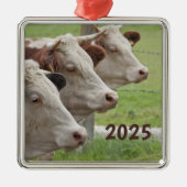 Drie Koeien op een rij Ornament (Voorkant)