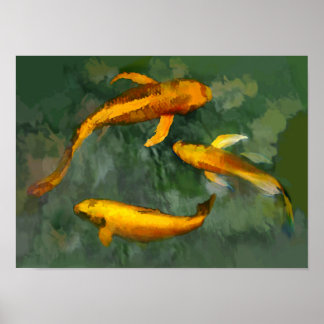 Drie kois in een fontein poster