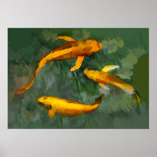Drie Kois in een fontein Poster