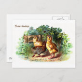 Drie kuikens en een spin Pasen Feestdagenkaart (Voorkant / Achterkant)