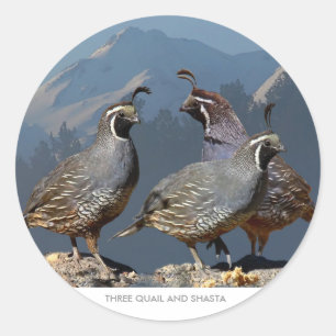 DRIE KWALITEIT EN SHASTA RONDE STICKER