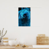 Drie kwart uitzicht hart en longen poster (Keuken)