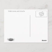 DRIE KWARTELS EN SHASTA BRIEFKAART (Achterkant)