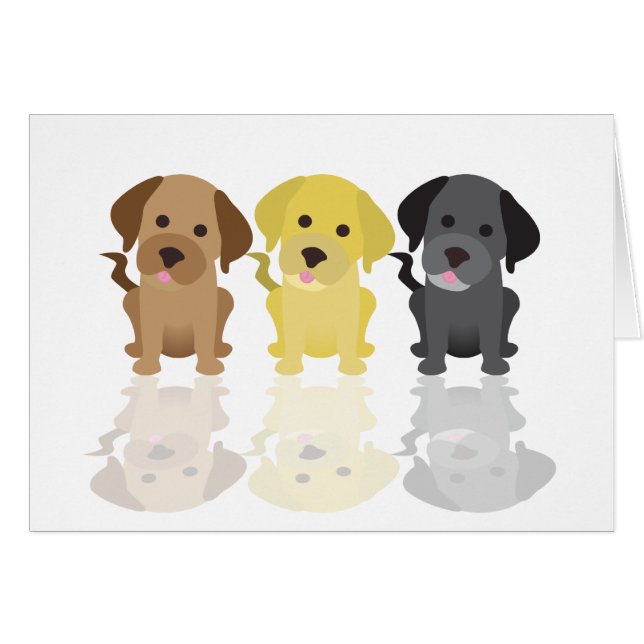 Drie Labrador Retrievers (Voorkant Horizontaal)