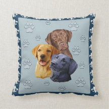Drie Labs Pillow
