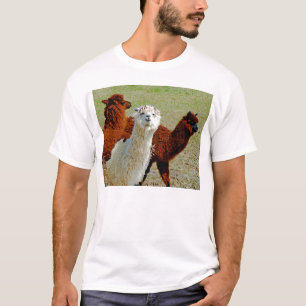 Drie Llamas T-Shirt