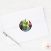 Drie lorikeets ronde sticker (Envelop)
