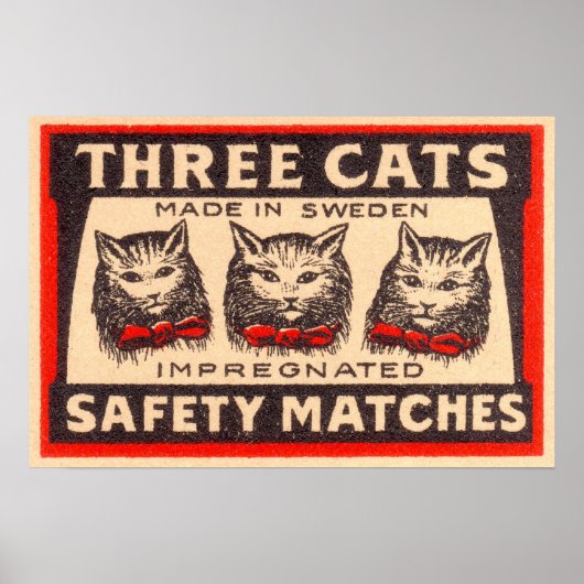 Drie maatstaven voor de veiligheid van katten poster (Voorkant)