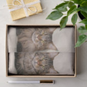 Drie Maine Coon Cats Tissuepapier (Geschenk)