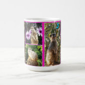 Drie Meerkat Afbeelding Collage Koffiemok (Center)