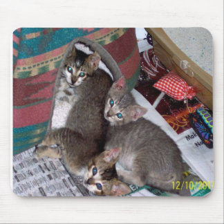 Drie meisjes muismat