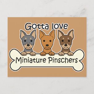 Drie miniatuur Pinschers Briefkaart