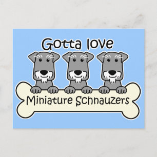 Drie Miniatuur Schnauzers Briefkaart