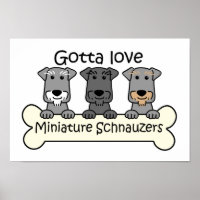 Drie Miniatuur Schnauzers