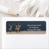 Drie Mule Deer Bucks Return Address Label (Insitu)
