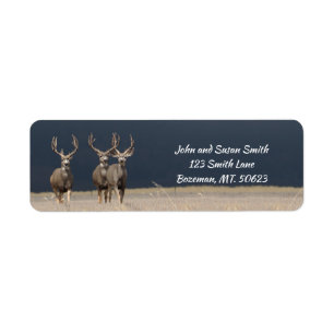Drie Mule Deer Bucks Return Address Label