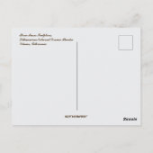 Drie muzen Litouws Nationaal Drama Theater Briefkaart (Achterkant)