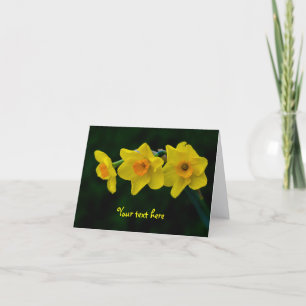 Drie Narcissen Wenskaart Kaart