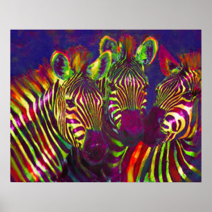drie neon zebras poster