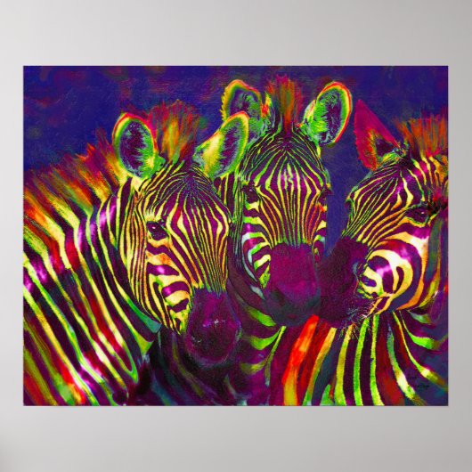 drie neon zebras poster (Voorkant)