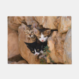 Drie nieuwsgierige kittens deurmat